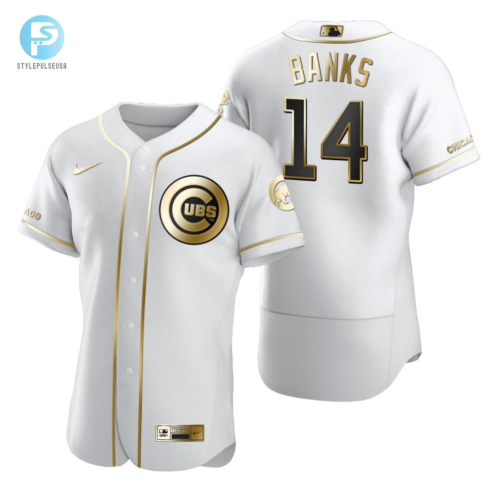 Gift 4 Cubs Fans Ernie Banks 14 Golden Edition Jersey stylepulseusa 1