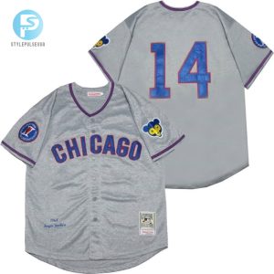 Score Big With The Ernie Banks 14 Grey Jersey Cubs Humor stylepulseusa 1 1