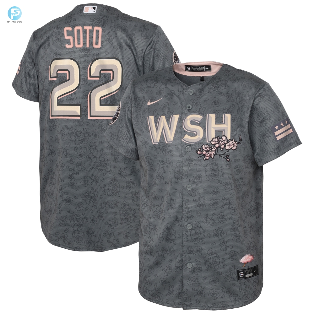 Juan Soto Washington Nationals Toddler 2022 City Connect Replica Player Jersey  Gray Mlb 